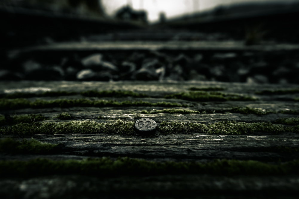 Platz 11 Robert Seitz